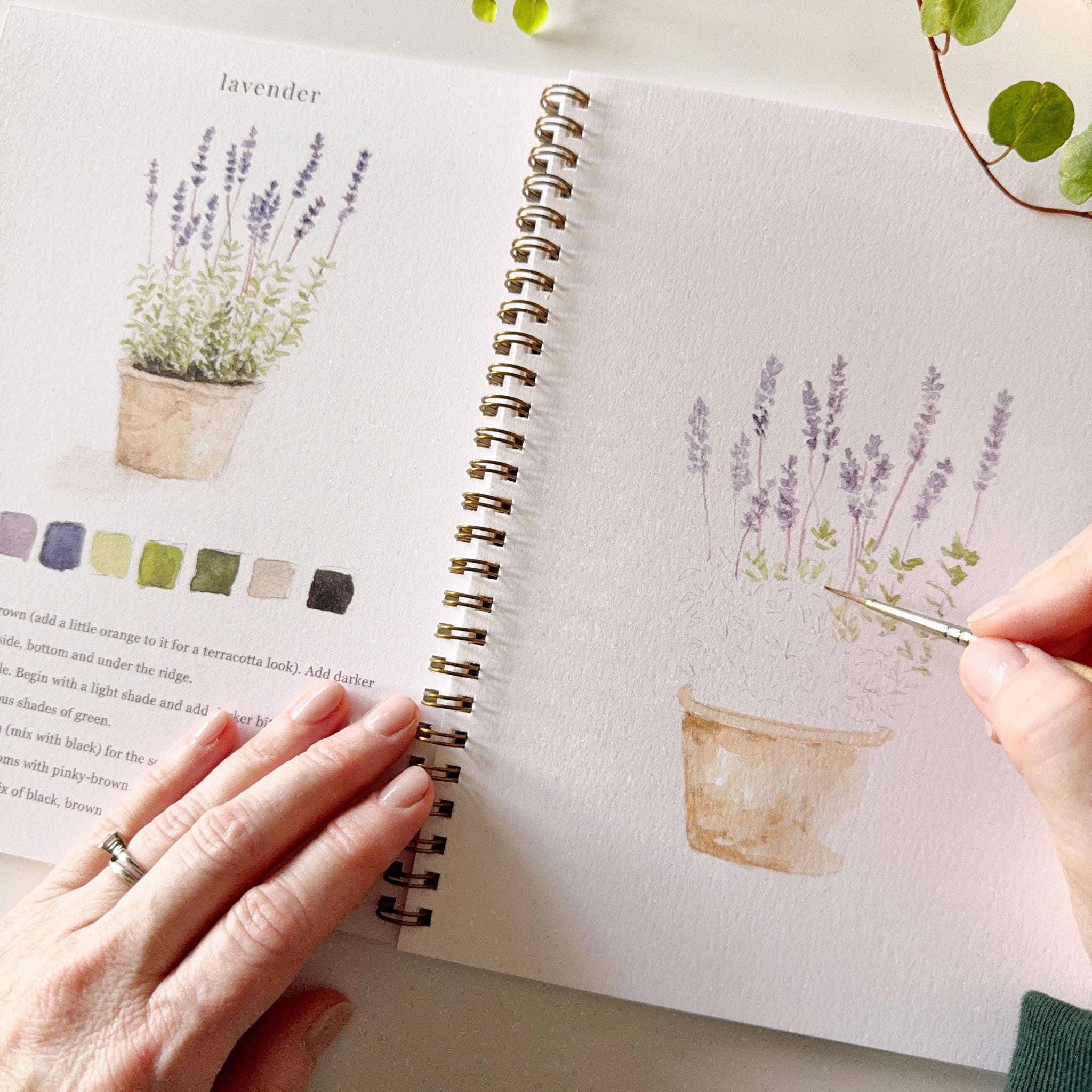 Cahier d'aquarelle - Le Jardin