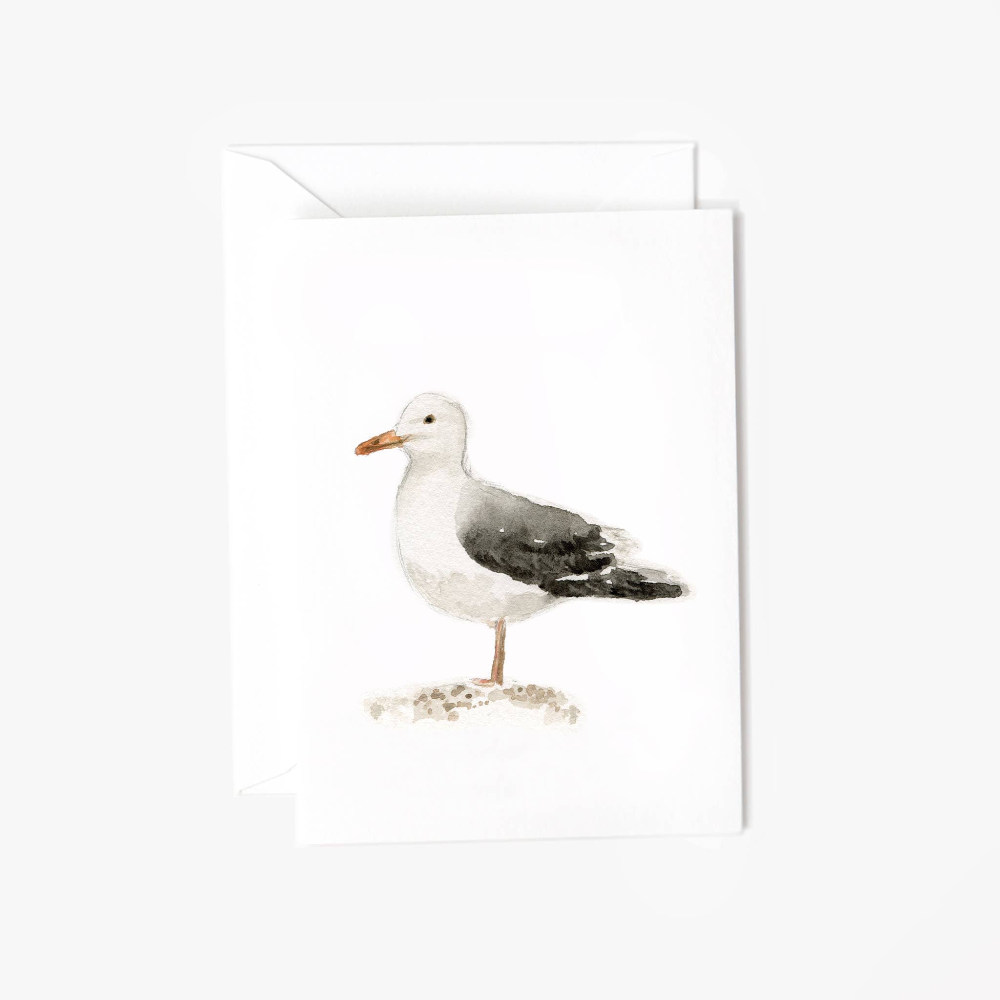 Mini-carte - MOUETTE