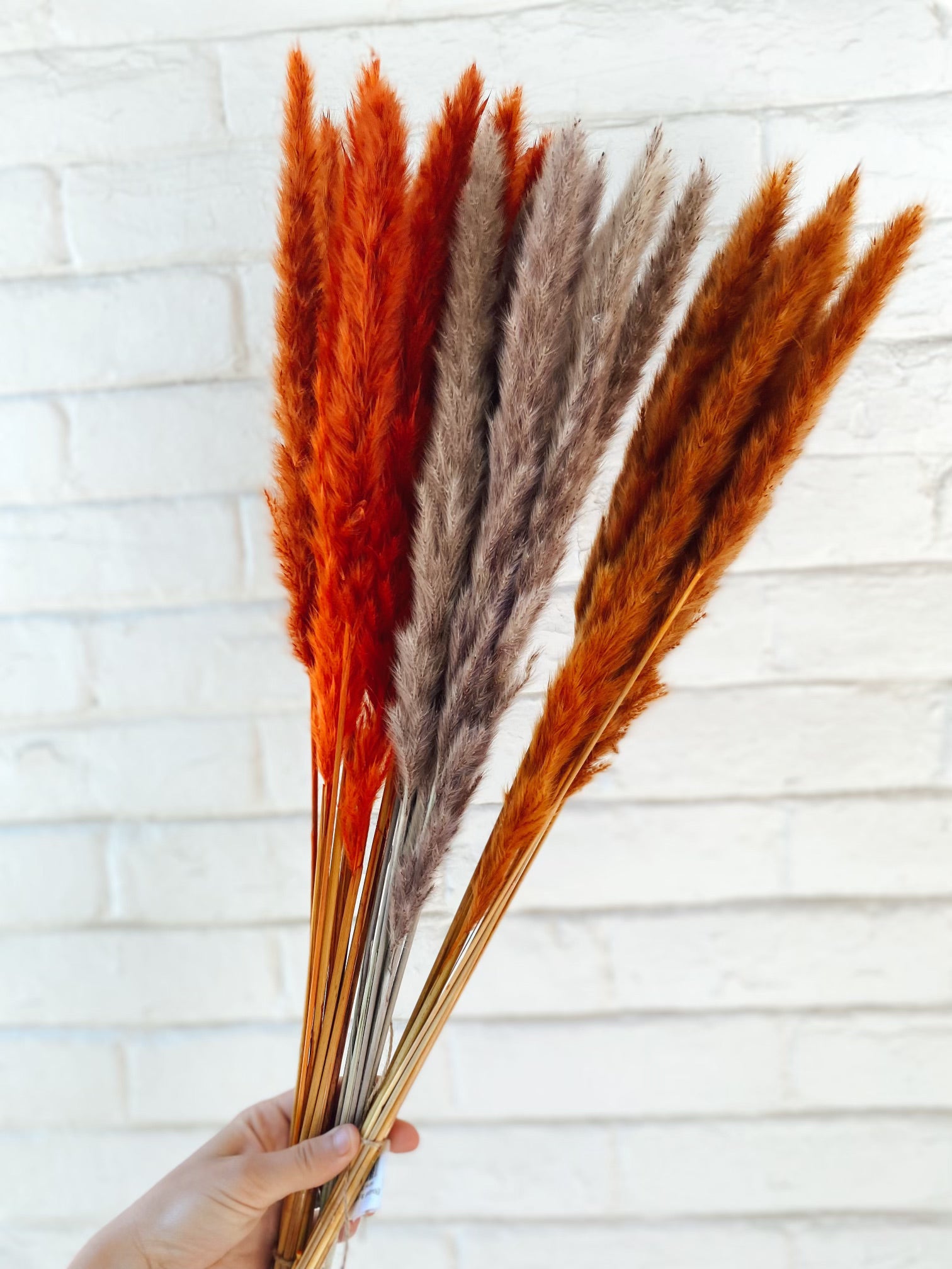 Bouquet de pampas