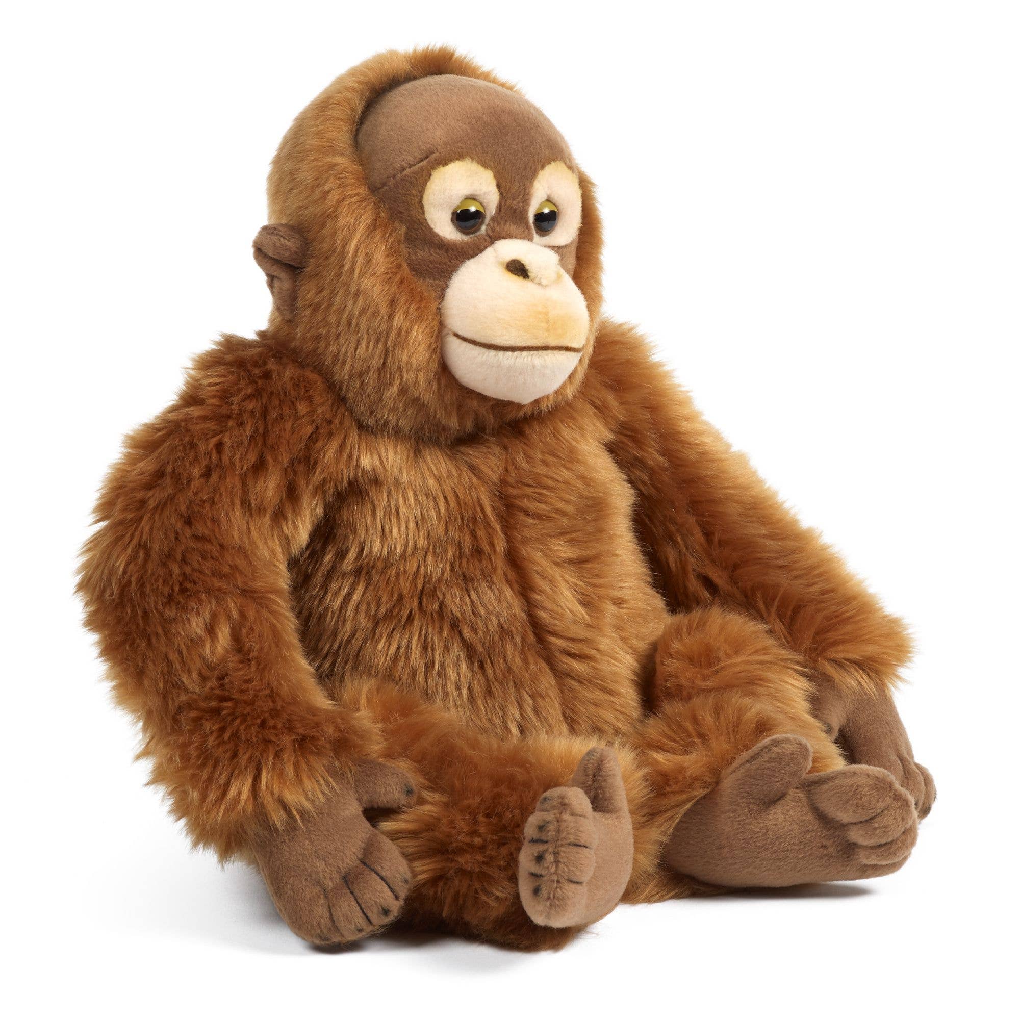 Orang-outan en peluche Living Nature