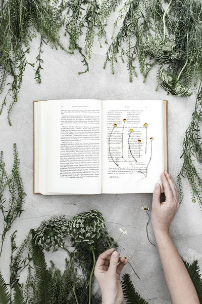 Livre d'inspiration FESTIVE