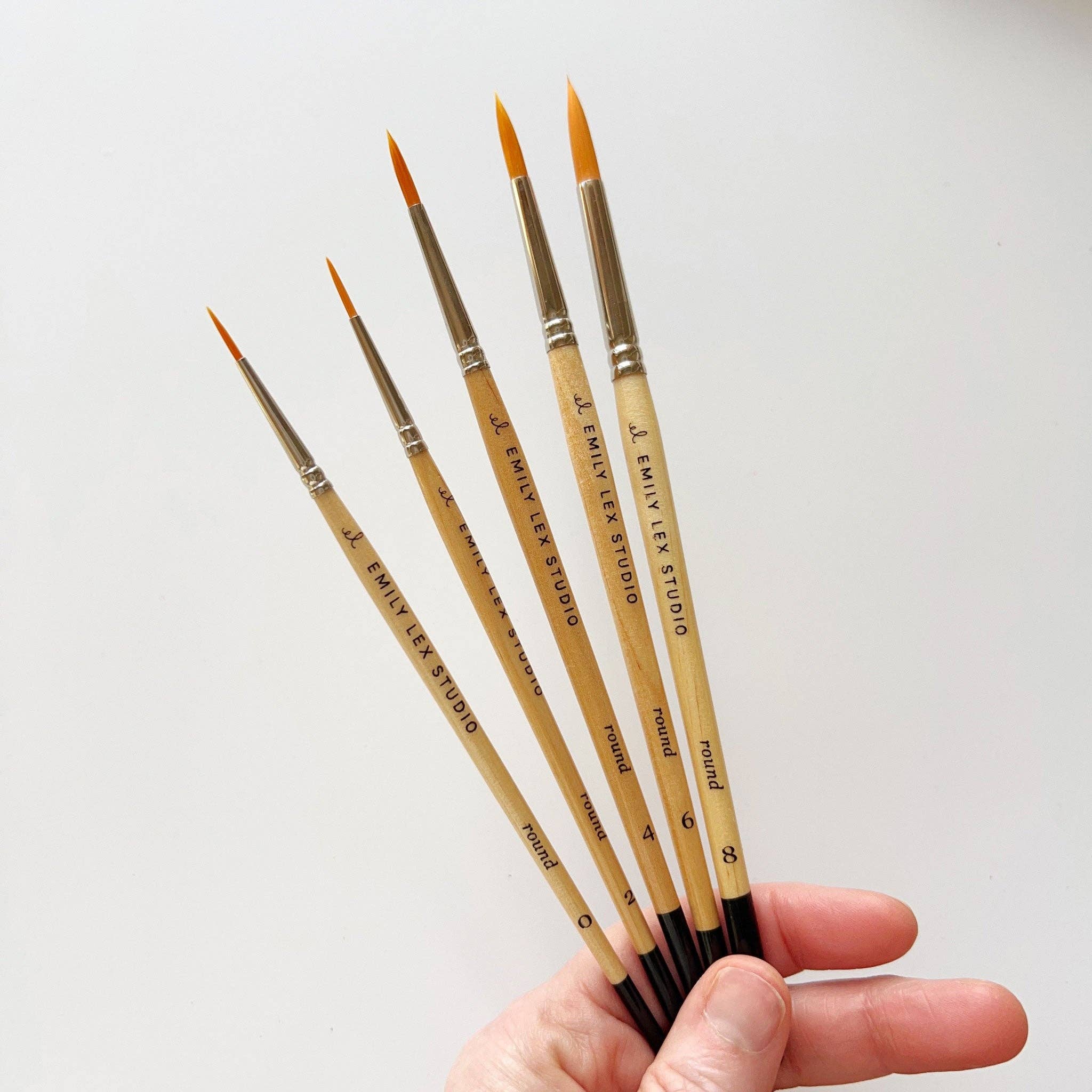 Ensemble de pinceaux pour aquarelle