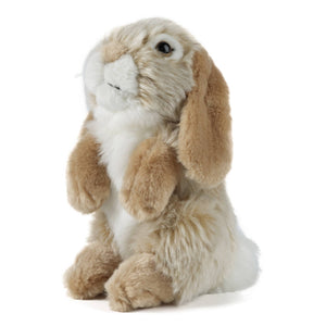 Lapin Lop Eared en peluche Living Nature