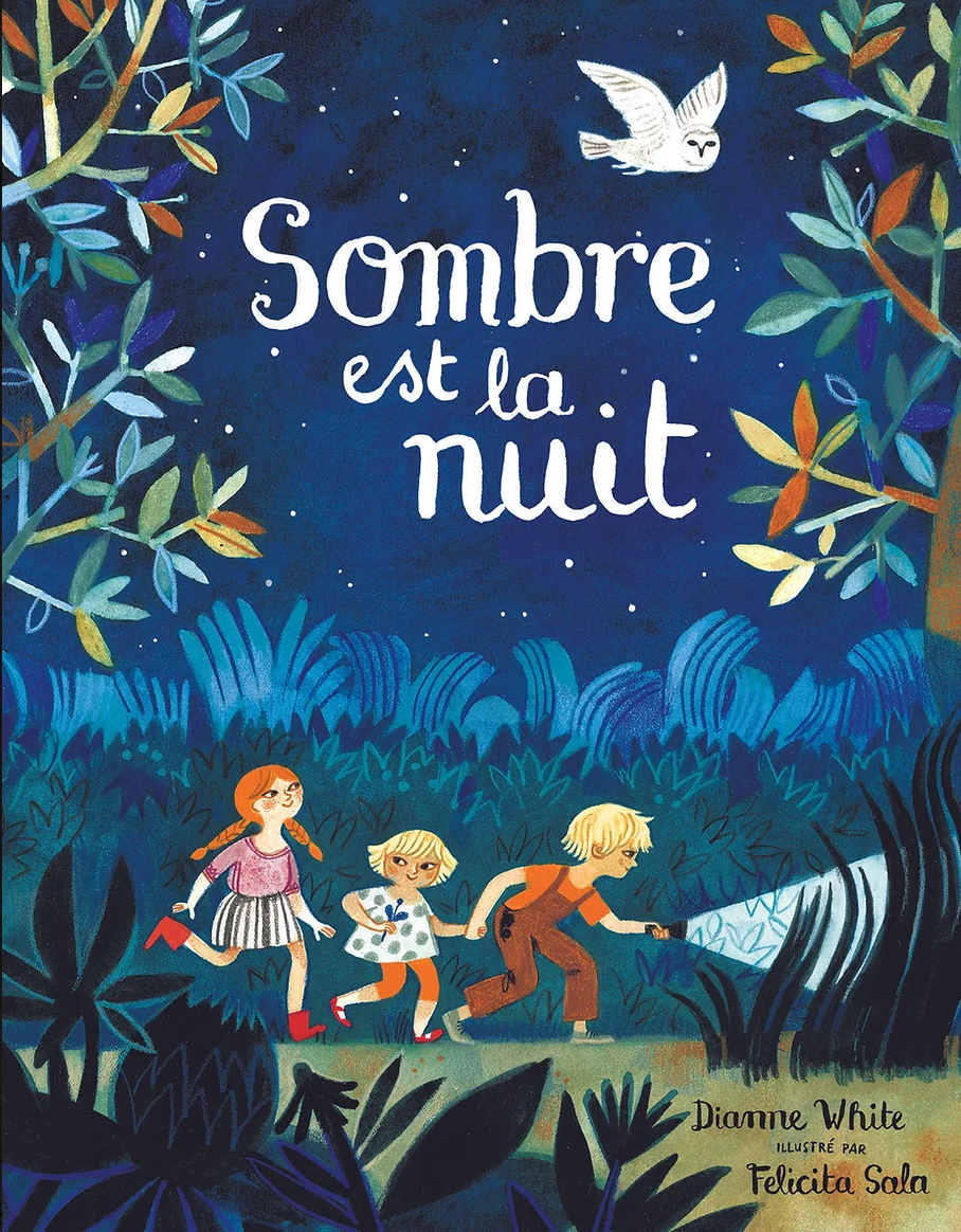 Livre pour enfants SOMBRE EST LA NUIT