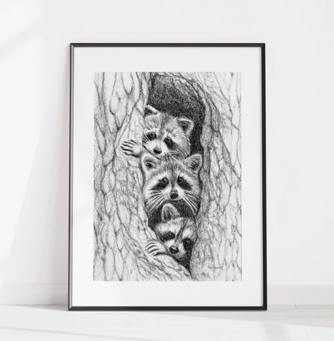 Illustration Au Fusain Le Nid - 3 Racoons In A Tree 8x10