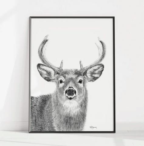 Illustration Au Fusain Le Nid - Cerf 8x10 (Copie)