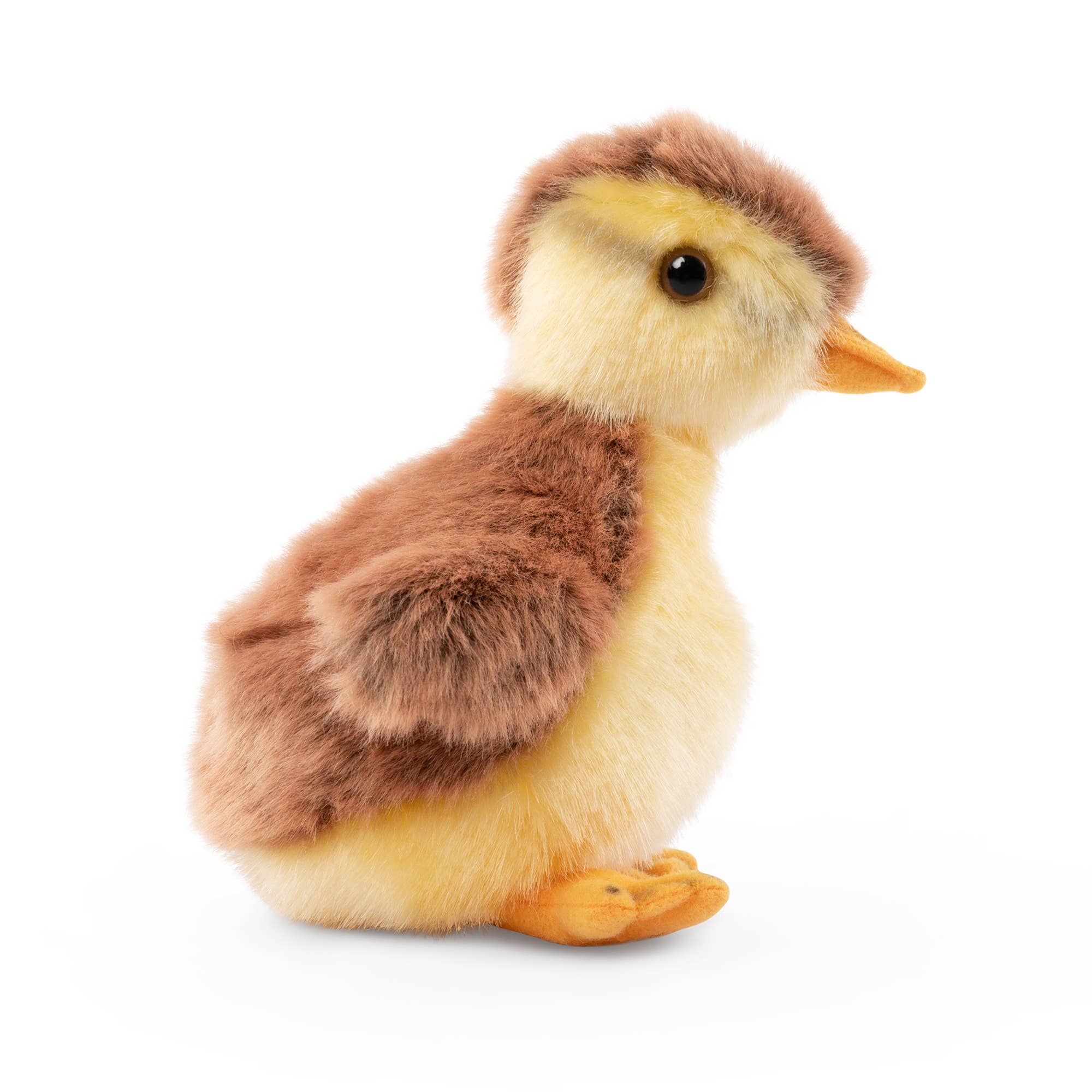 Caneton Colvert en peluche Living Nature