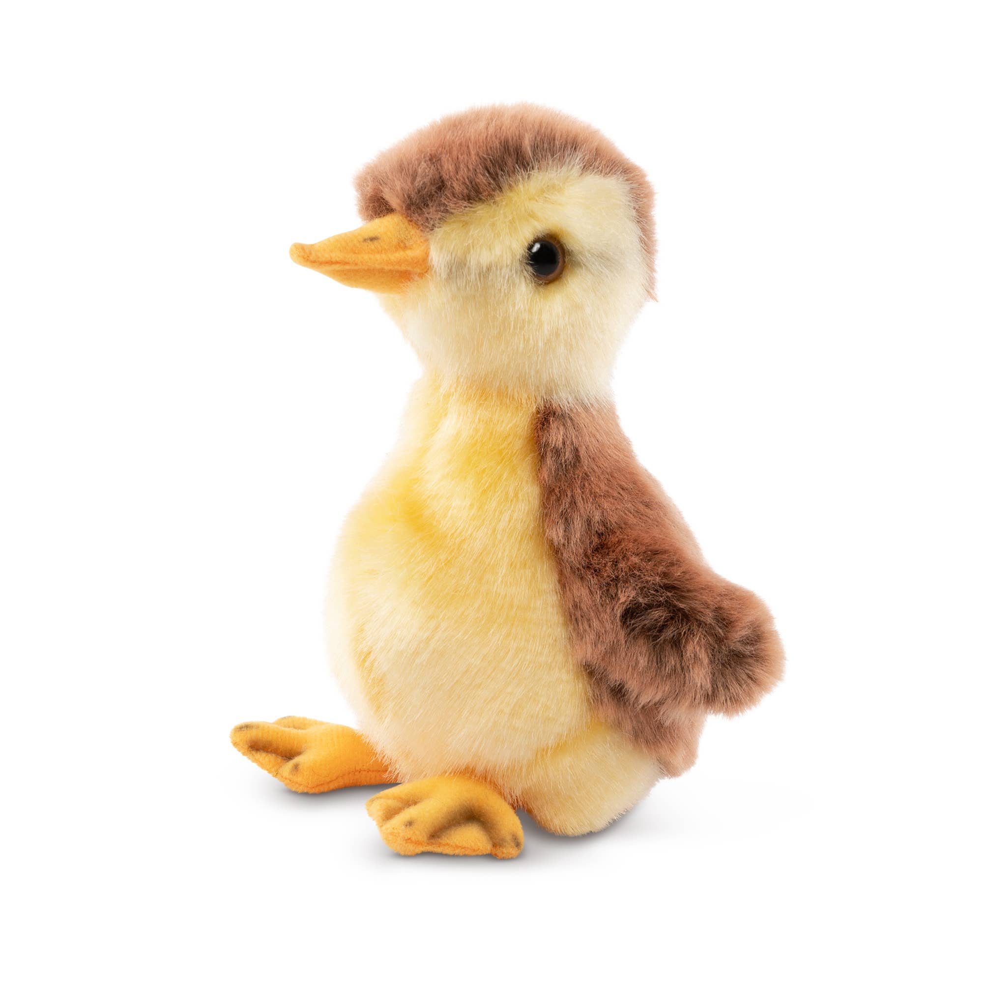 Caneton Colvert en peluche Living Nature