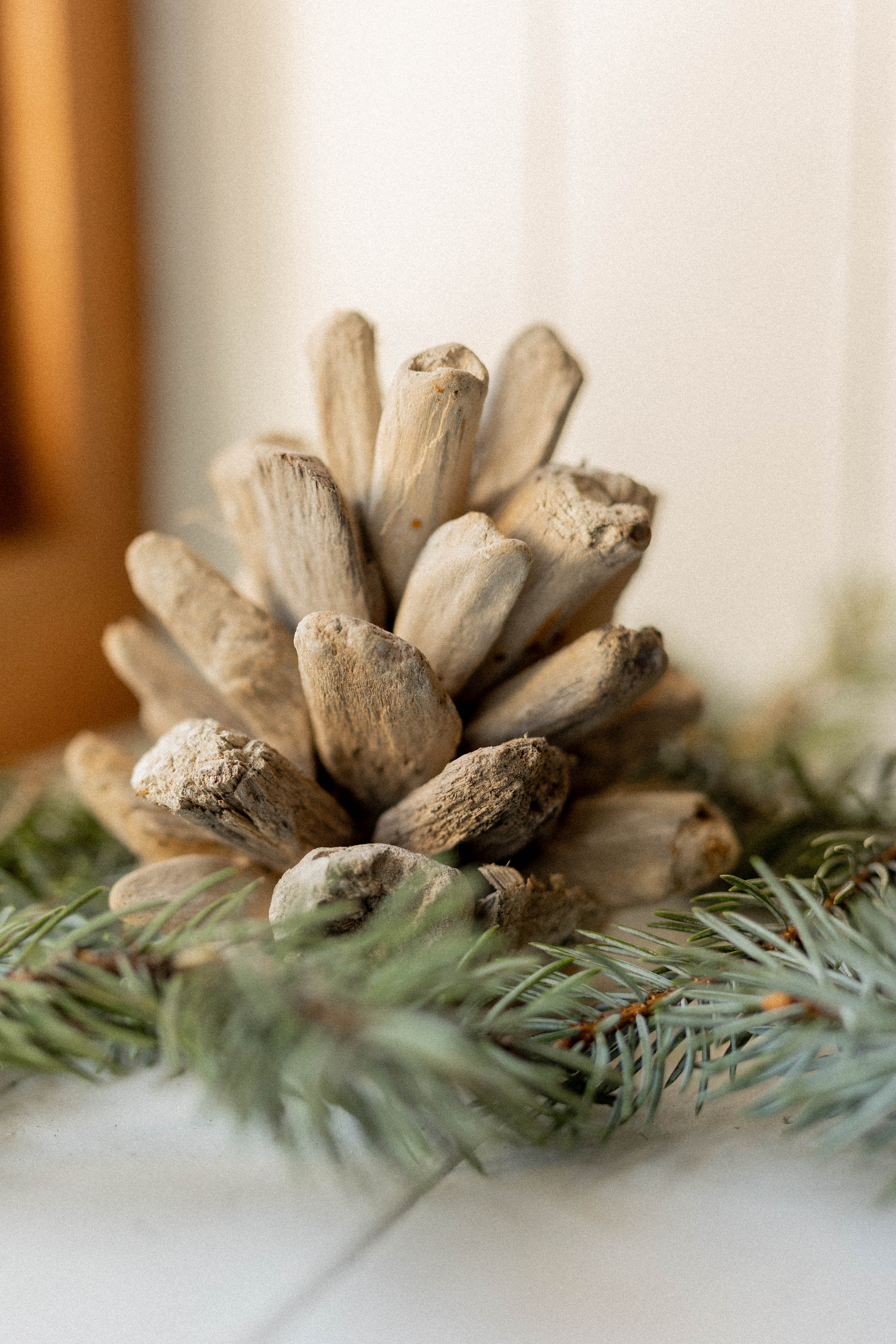 Cocotte de sapin en bois flotté