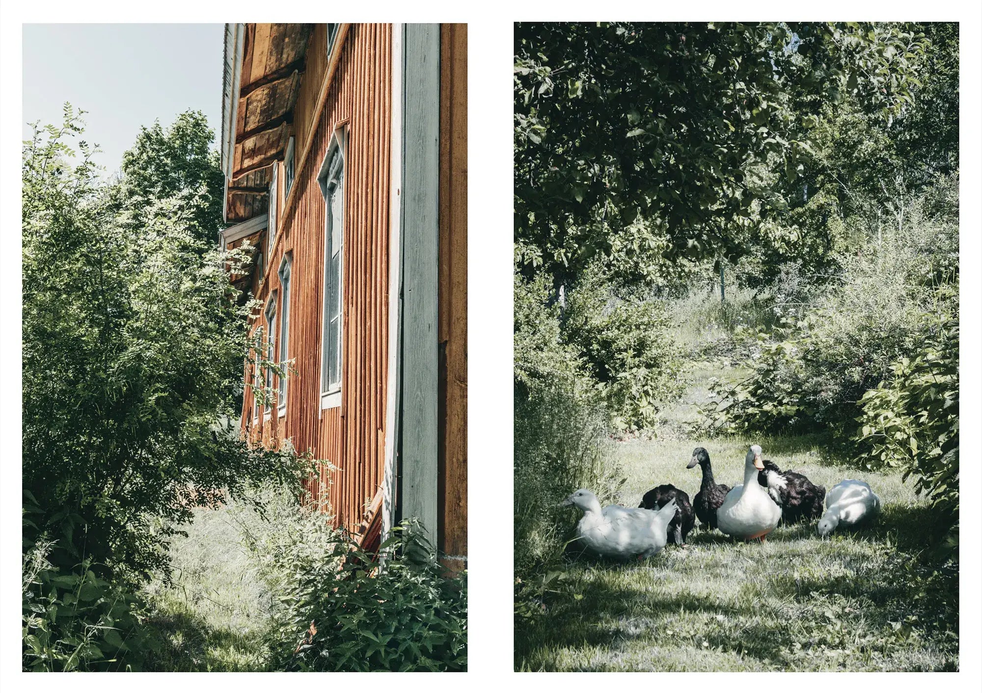 Livre d'intérieur NORDIC HOMESTEAD