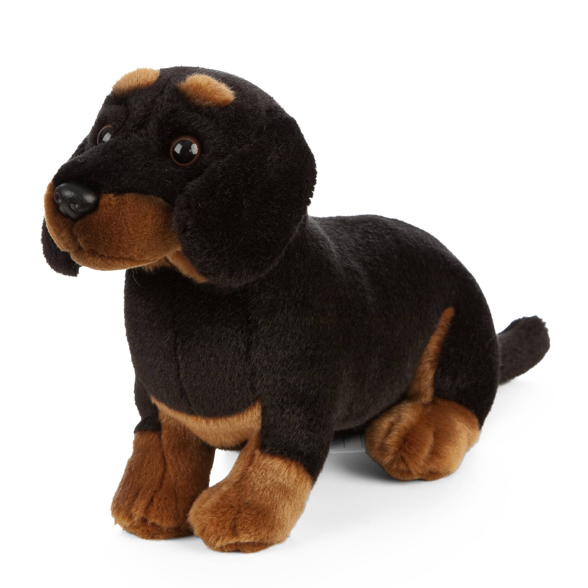 Chien Teckel en peluche Living Nature