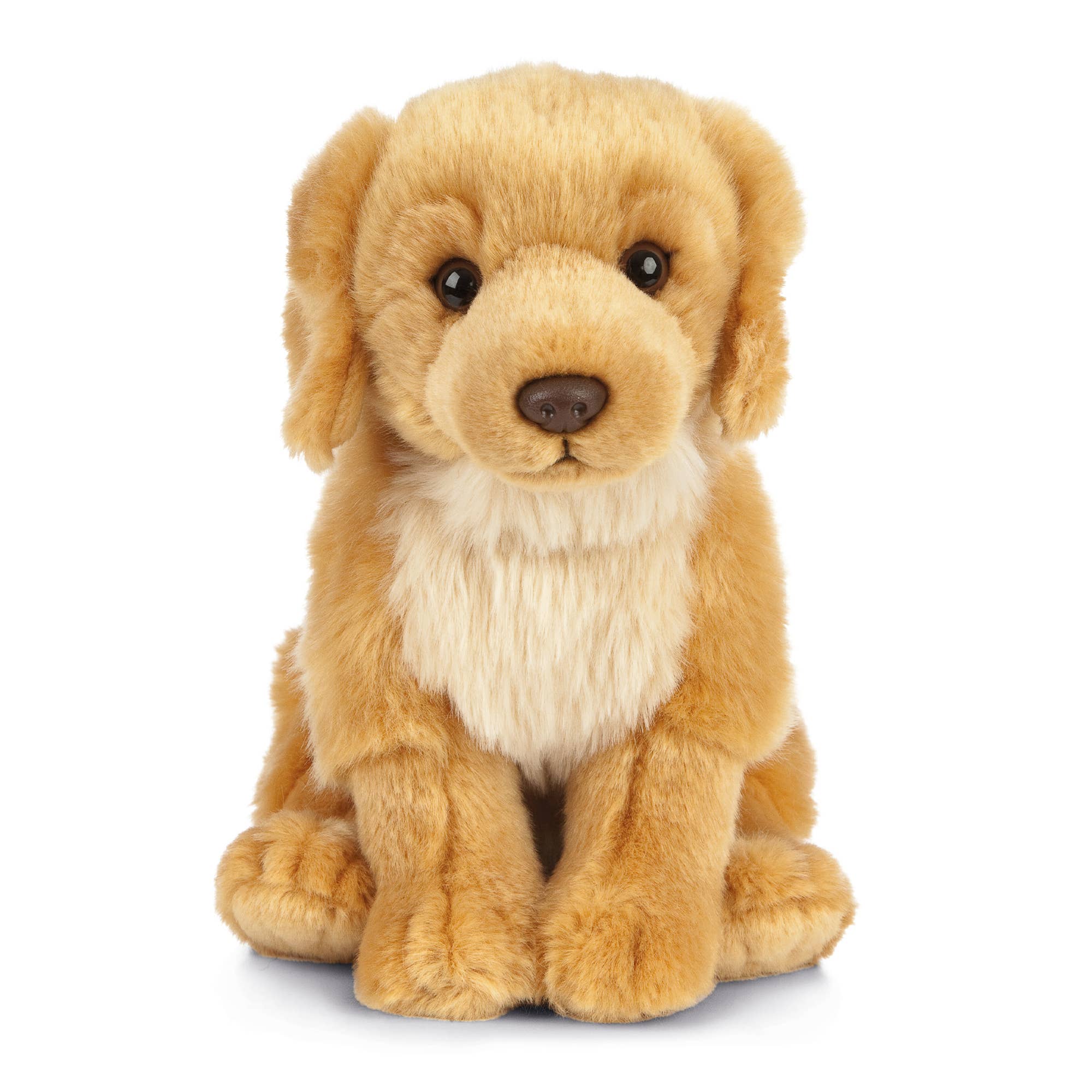 Golden Retriever en peluche de Living Nature