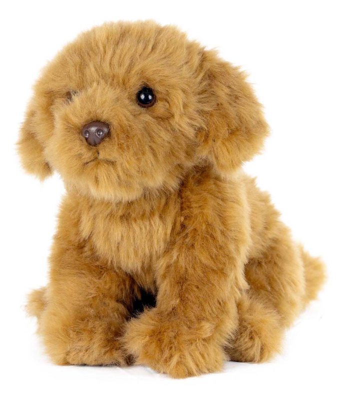 Chien Cavapoo en peluche Living Nature