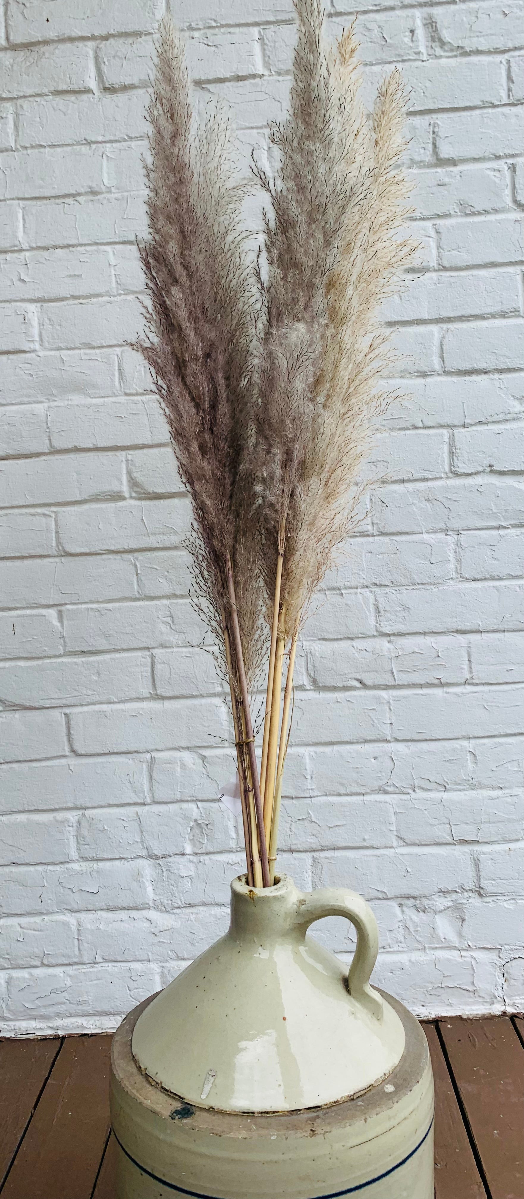 Bouquet de longs Pampas