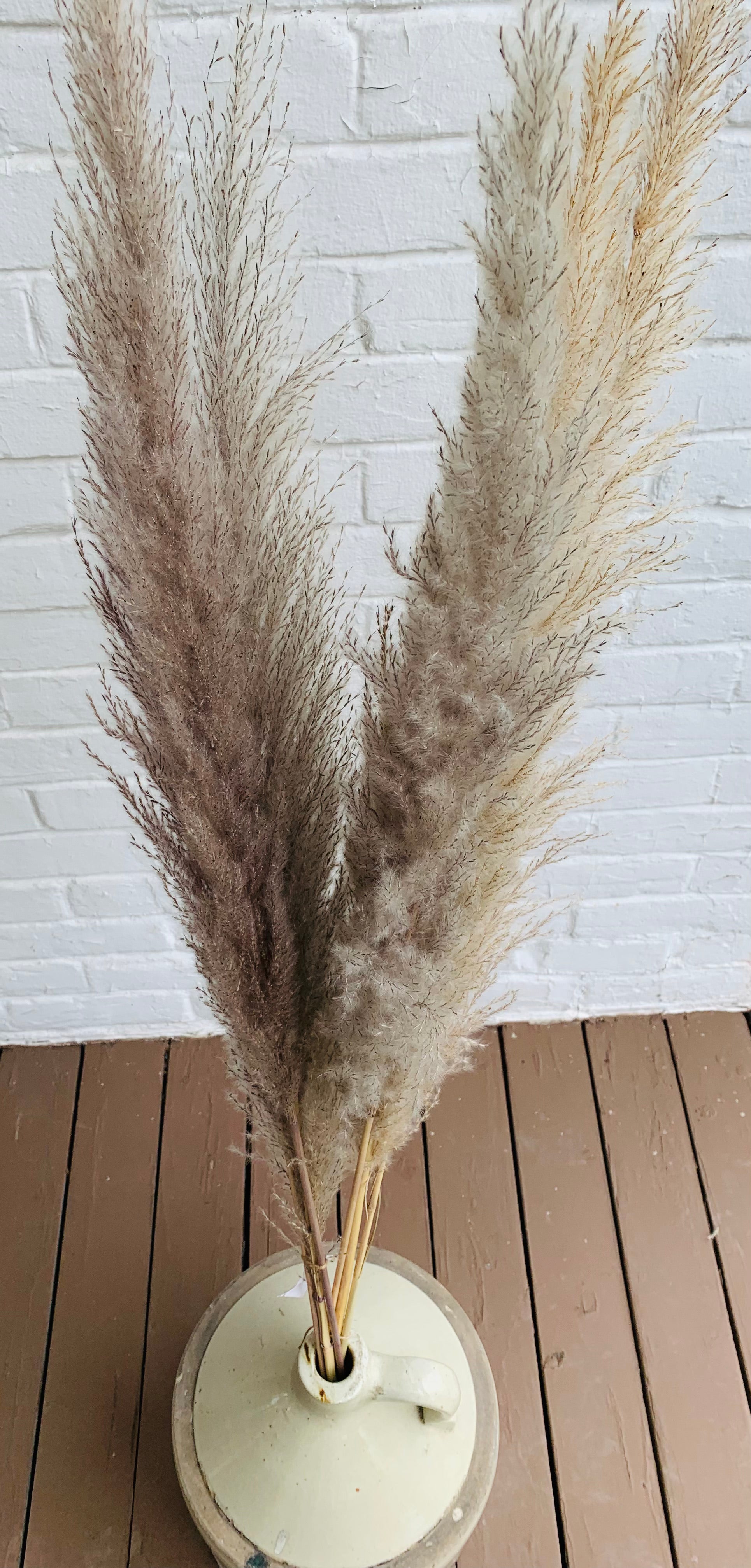 Bouquet de longs Pampas