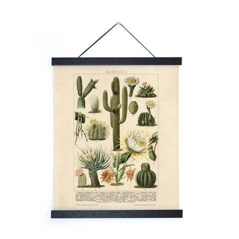 Imprimé Vintage Botanical Cactus no.1